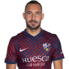 Player cutout