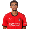 Player cutout