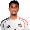 Player cutout