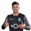 Player cutout