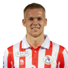 Player cutout