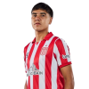 Player cutout