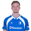 Player cutout