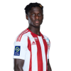 Player cutout