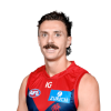 Player cutout
