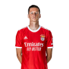 Player cutout