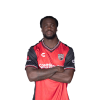 Player cutout
