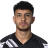Player cutout