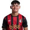 Player cutout