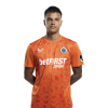 Player cutout