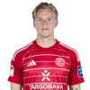 Player cutout