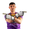 Player cutout