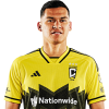 Player cutout