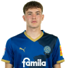 Player cutout
