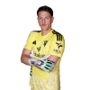 Player cutout