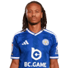 Player cutout