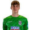 Player cutout