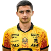 Player cutout
