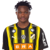Player cutout
