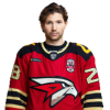 Player cutout