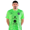 Player cutout