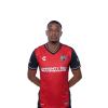 Player cutout