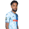 Player cutout