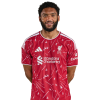 Joe Gomez