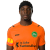 Player cutout