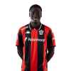 Player cutout
