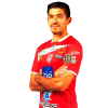 Player cutout