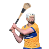 Player cutout