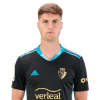 Player cutout
