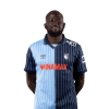 Player cutout