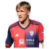 Player cutout