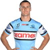 Player cutout