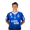 Player cutout