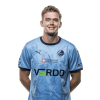 Player cutout