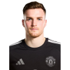 Player cutout