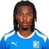 Player cutout