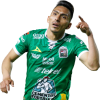 Player cutout