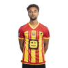 Player cutout