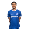 Player cutout