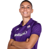 Player cutout