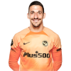 Player cutout