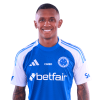 Player cutout