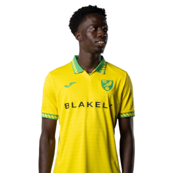 Pape Diallo profile image