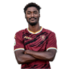 Player cutout