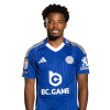 Player cutout