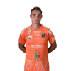 Player cutout